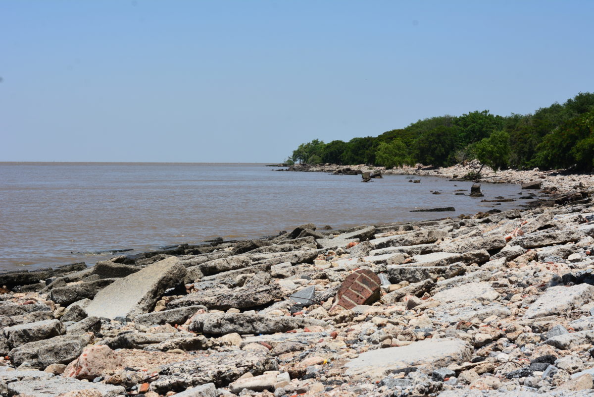 "Reserva Ecológica Costanera Sur in Argentina