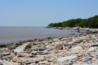 "Reserva Ecológica Costanera Sur in Argentina