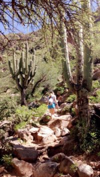 Walking along the river Colorado in Cafayate