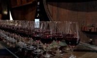 Rutini Wines in Mendoza
