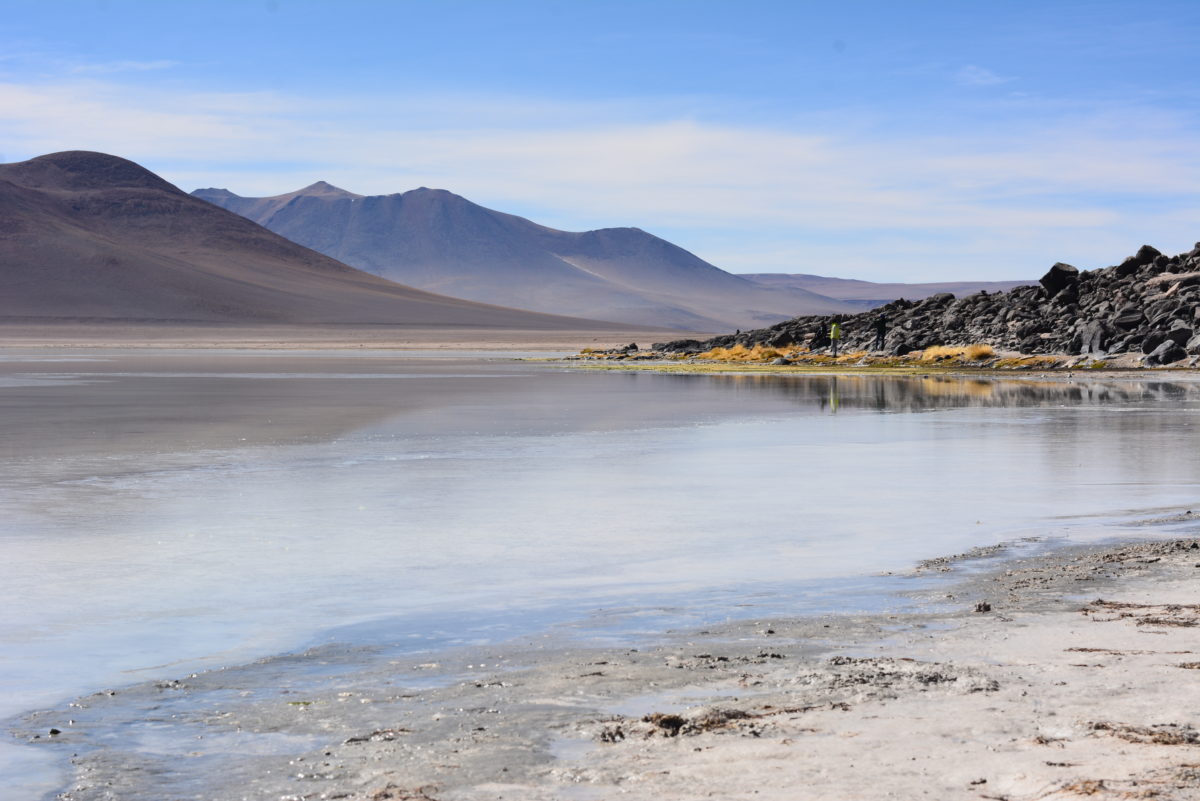 Laguna
