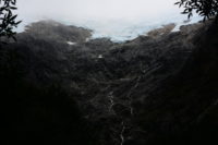 Bosque Encantado
