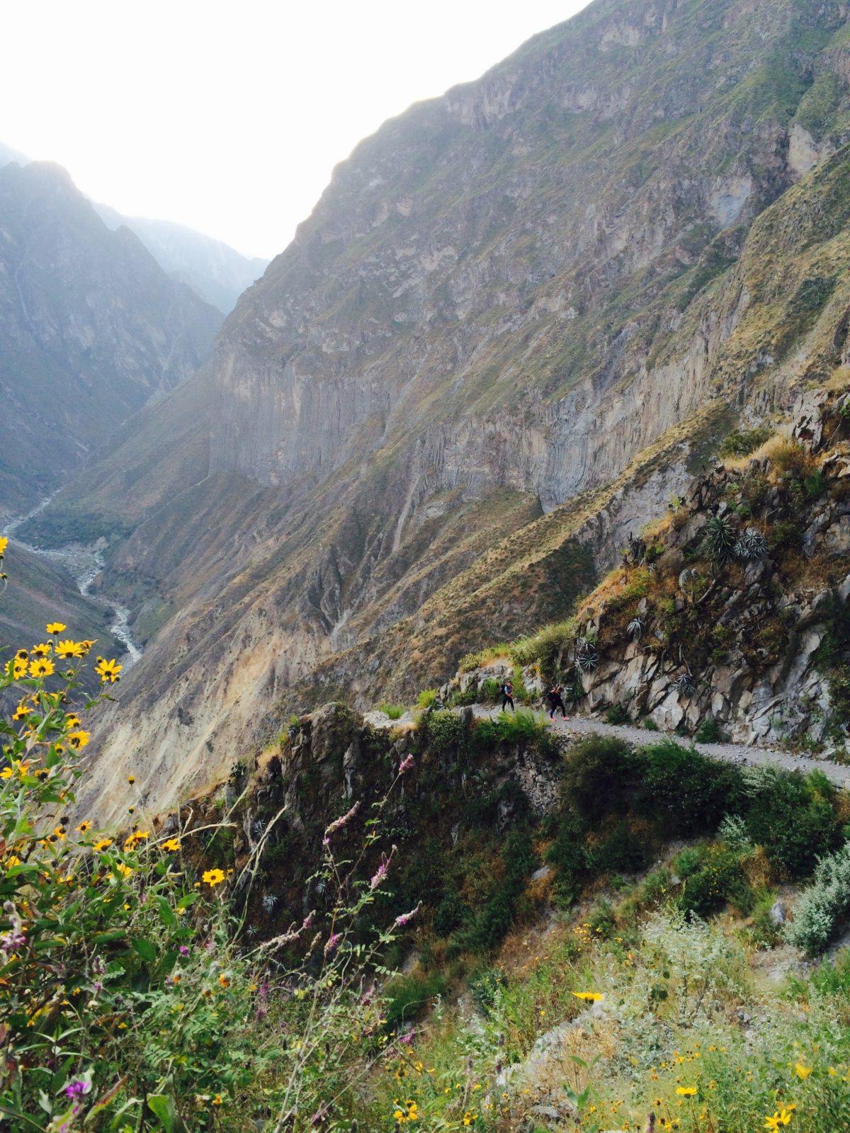 Colca Canyon