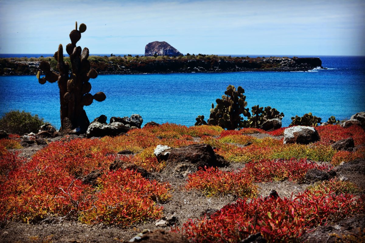 Islas Plaza