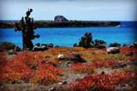 Islas Plaza
