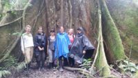Nicky Lodge Walk