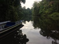 Río Cuyabeno